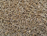 Cumin Seeds