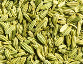 Fennel Seeds