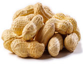 Groundnut in Shell