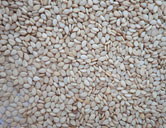 Sesame Seeds (White/black/brown)